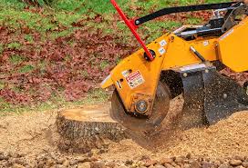 Best Hazardous Tree Removal  in Loretto, TN